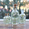 Snowdrops Miniature Bottles