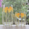 Daffodil Tumbler (2 sizes)